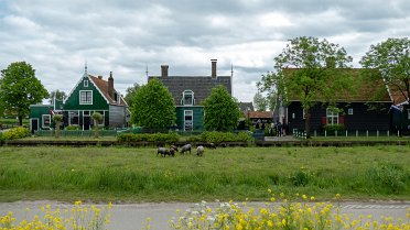 Zaanse schans