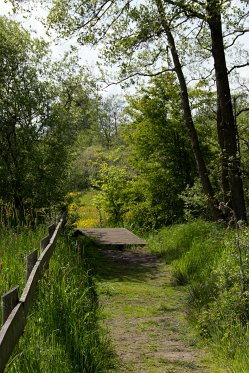 Moerputten_mei2015 022_bewerkt-1