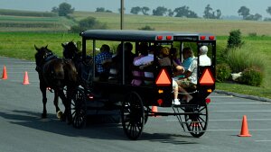 Intercourse Amish