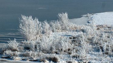 Winterlandschap