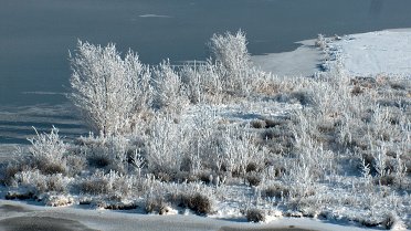 Winterlandschap